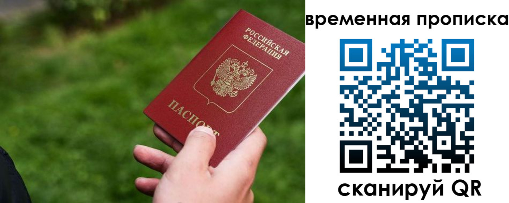 временная регистрация купить в Брянской области
